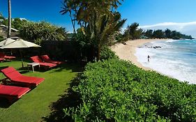 Paia Inn